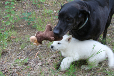 IMG_1299 IMG_1299
