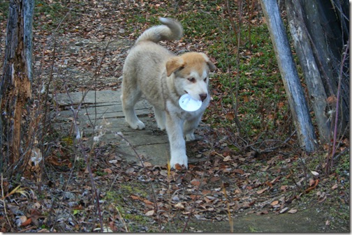 IMG_3364 IMG_3364