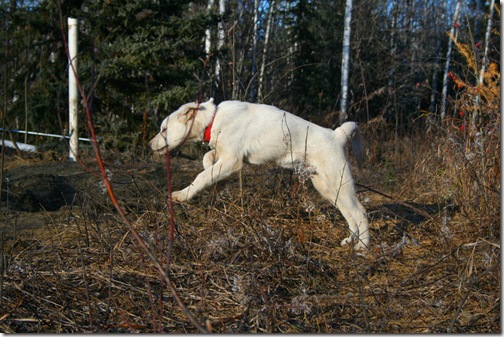 IMG_3554 IMG_3554