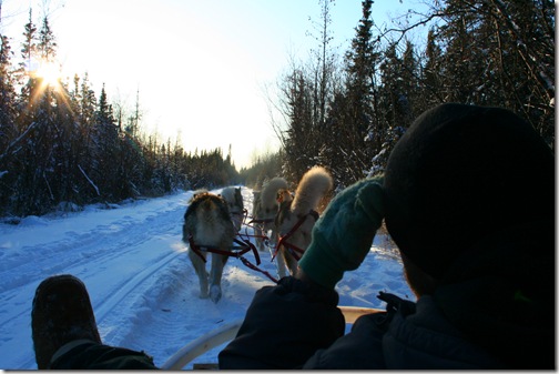 IMG_3858 IMG_3858