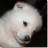 IMG_5158 IMG_5158