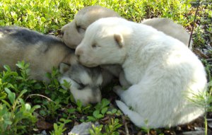 3amigos_3 3amigos_3